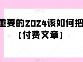极其重要的2024该如何把握？【付费文章】
