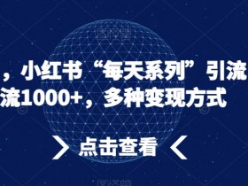 流量密码，小红书“每天系列”引流，日引流1000+，多种变现方式【揭秘】