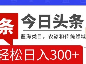 AI头条传统和农谚领域，蓝海类目，搬运+AI优化，轻松日入300+【揭秘】