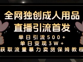 全网独创真人主播+无人直播单日引流500+，橙人用品暴力卖货单日变现3W+保姆似教学2.0【揭秘】