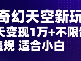 AI奇幻天空，20天变现五位数玩法，不限制不违规不封号玩法，适合小白操作【揭秘】