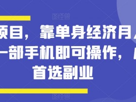 蓝海项目，靠单身经济月入过万，一部手机即可操作，小白首选副业【揭秘】