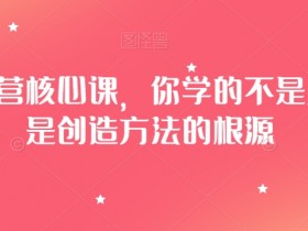 淘系运营核心课，你学的不是只方法是创造方法的根源