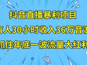 抖音直播暴利项目，有人30小时收入36万音浪，公司宣传片年会视频制作，抓住年底一波流量大红利【揭秘】