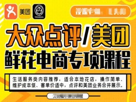 大众点评/美团鲜花电商专项课程，操作简单、维护成本低、客单价适中，点评和美团业务合并展示
