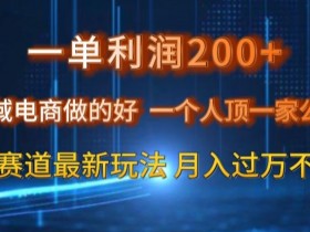 一单利润200私域电商做的好，一个人顶一家公司蓝海赛道最新玩法【揭秘】