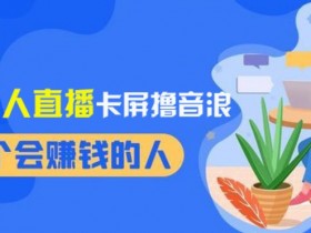 2024独家无人直播卡屏撸音浪，12月新出教程，收益稳定，无需看守，轻松上手日入1000+【揭秘】