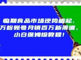 临期食品市场逆势崛起，万粉账号月销百万新渠道，小白保姆级教程【揭秘】