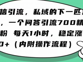 怎么搞精准创业粉？微信新赛道，每天一小时，利用Ai一个问答日引100精准粉