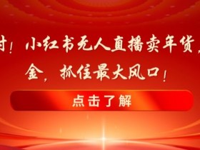 新春倒计时！小红书无人直播卖年货，无货源撸金，抓住最大风口【揭秘】