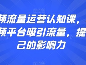 短视频流量运营认知课，利用短视频平台吸引流量，提高自己的影响力