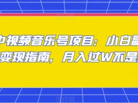 中视频音乐号项目：小白副业变现指南，月入过W不是梦【揭秘】