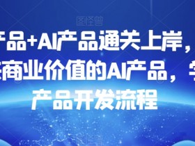 数据产品+AI产品通关上岸，创建能带来商业价值的AI产品，学习AI产品开发流程