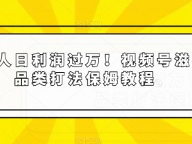 普通人日利润过万！视频号滋补品类打法保姆教程【揭秘】