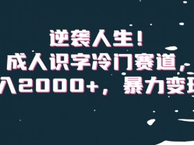 逆袭人生！成人识字冷门赛道，日入2000+，暴力变现！【揭秘】
