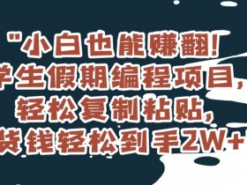 小白也能赚翻！学生假期编程项目，轻松复制粘贴，年货钱轻松到手2W+【揭秘】