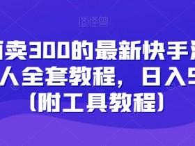 外面卖300的最新快手游戏合伙人全套教程，日入500+（附工具教程）