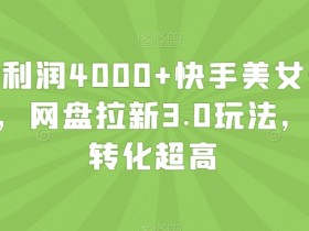 单日利润4000+快手美女无人挂播，网盘拉新3.0玩法，男粉转化超高【揭秘】