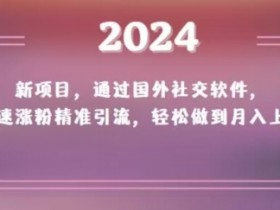 2024新项目，通过国外社交软件，快速涨粉精准引流，轻松做到月入上万【揭秘】