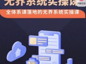 老衲·无界系统实操课，全体系落地无界改版后选择、出价、高投产做付费引流