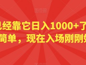 小白已经靠它日入1000+了，操作简单，现在入场刚刚好【揭秘】