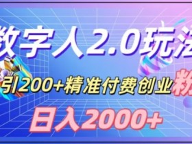 利用数字人软件，日引200+精准付费创业粉，日变现2000+【揭秘】