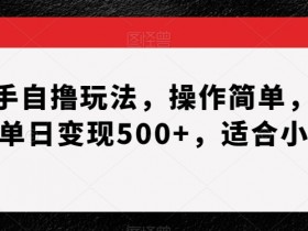 快手自撸玩法，操作简单，熟练单日变现500+，适合小白【揭秘】