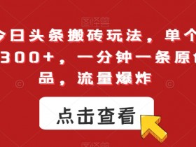 最新今日头条搬砖玩法，单个作品变现300+，一分钟一条原创作品，流量爆炸【揭秘】