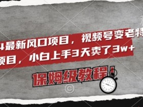2024最新风口项目，视频号变老特效项目，电脑小白上手3天卖了3w+，保姆级教程【揭秘】