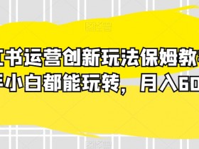 小红书运营创新玩法保姆教学，新手小白都能玩转，月入6000+【揭秘】