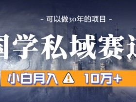 暴力国学私域赛道，小白月入10万+，引流+转化完整流程【揭秘】
