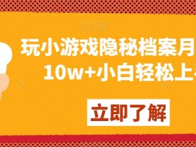 玩小游戏隐秘档案月入5-10w+小白轻松上手【揭秘】