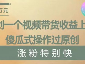 原创一个视频带货收益上万，傻瓜式操作过原创，几分钟做一个视频涨粉特别快【揭秘】