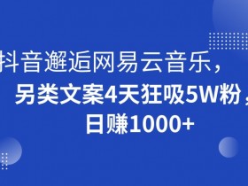 抖音邂逅网易云音乐，另类文案4天狂吸5W粉，日赚1000+【揭秘】
