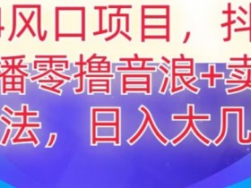 2024风口项目，抖音无人主播撸音浪+卖课程玩法，日入大几千【揭秘】