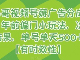 旺小哥视频号薅广告分成项目，年前偏门小玩法，次日出结果，单号单天500+元【有时效性】