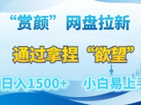 “赏颜”网盘拉新赛道，通过拿捏“欲望”日入1500+，小白易上手【揭秘】