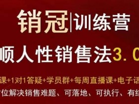 爆款！销冠训练营3.0之顺人性销售法，全方位解决销售难题、可落地、可执行、有结果