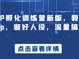 商业IP孵化训练营新版，教你做商业Ip，做好人设，流量搞好钱