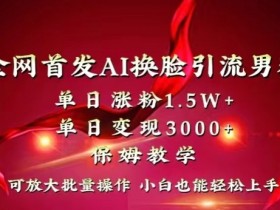 全网首发Ai换脸引流男粉，单日涨粉1.5w+，单日变现3000+，小白也能轻松上手拿结果【揭秘】