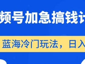 视频号加急搞钱计划，蓝海冷门玩法，日入500+【揭秘】