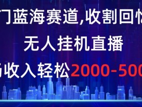 冷门蓝海赛道，收割回忆粉，无人挂机直播，单场收入轻松2000-5w+【揭秘】