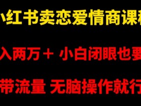 小红书卖恋爱情商课程，月入两万＋，小白闭眼也要做，自带流量，无脑操作就行了【揭秘】