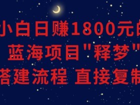 小白能日赚1800元的蓝海项目”释梦”0-1搭建流程可直接复制粘贴长期做【揭秘】