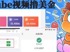 外面收费12000的playtube撸美金项目，单日收益30美金+工作室可批量搞【揭秘】