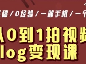 从0到1拍视频vlog变现课，5分钟每天，每月多赚1W