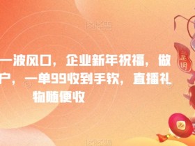 年前最后一波风口，企业新年祝福，做高质量客户，一单99收到手软，直播礼物随便收【揭秘】