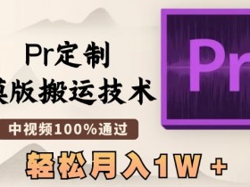 最新Pr定制模版搬运技术，中视频100%通过，几分钟一条视频，轻松月入1W＋【揭秘】