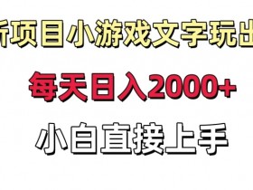 新项目小游戏文字玩出花日入2000+，每天只需一小时，小白直接上手【揭秘】