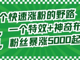 两个快速涨粉的野路子，一个特效+神奇布偶，粉丝暴涨5000起【揭秘】
